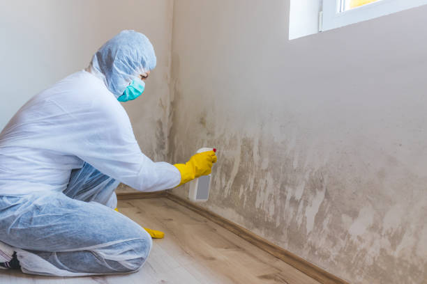 Best Mold Removal for HVAC Installations  in Helper, UT