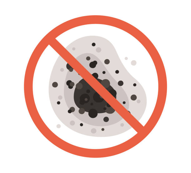 Best Emergency Mold Remediation  in Helper, UT