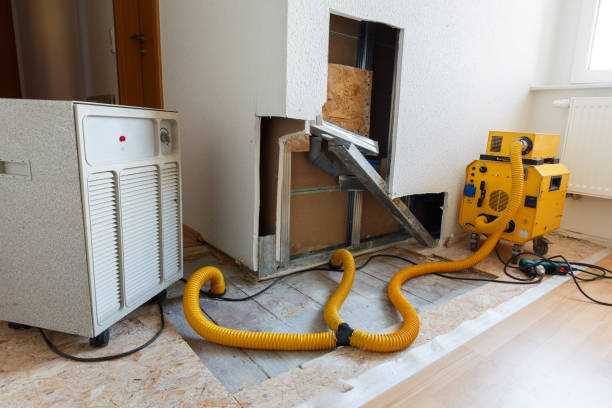 Best Post-Construction Mold Inspection  in Helper, UT